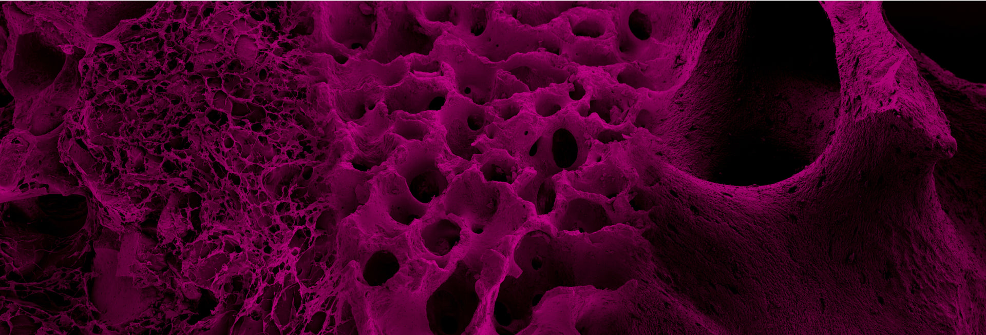 Biotex®